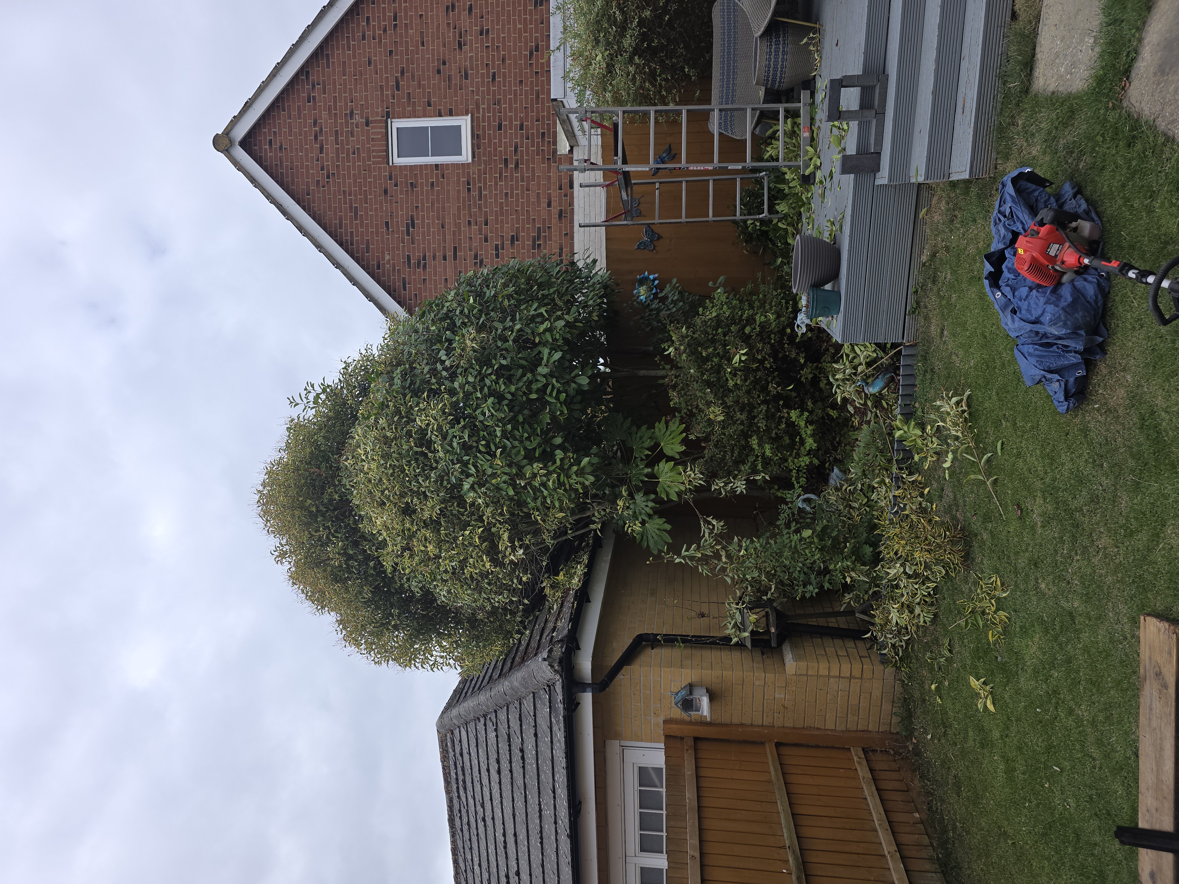 Simple Greens garden and grounds work
